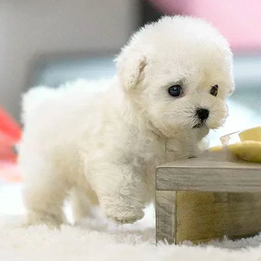Cuddly Animated Puppy Toy With Sensory Touch
