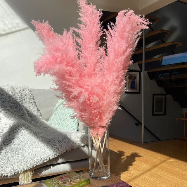 Natural Dried Pampas Grass for Home Decoration