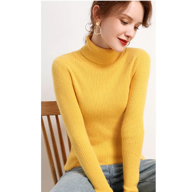 Women's Fitted Crew Neck Knit Sweater