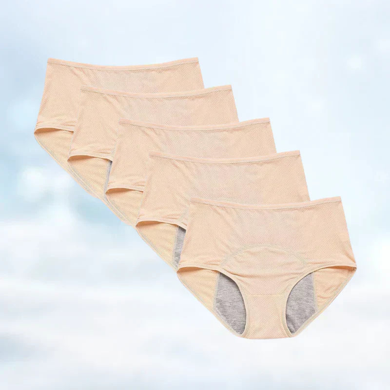 Comfortable Waterproof Ladies Briefs 5 Pack Deal