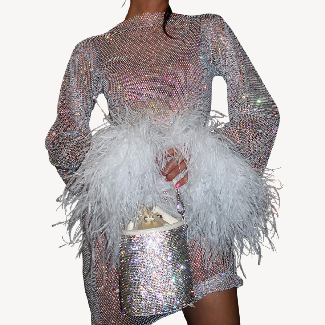 Sequined Mesh Feather Detail Mesh Dress