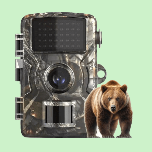 Motion Night Vision Wildlife Trail Camera - BritishElegance