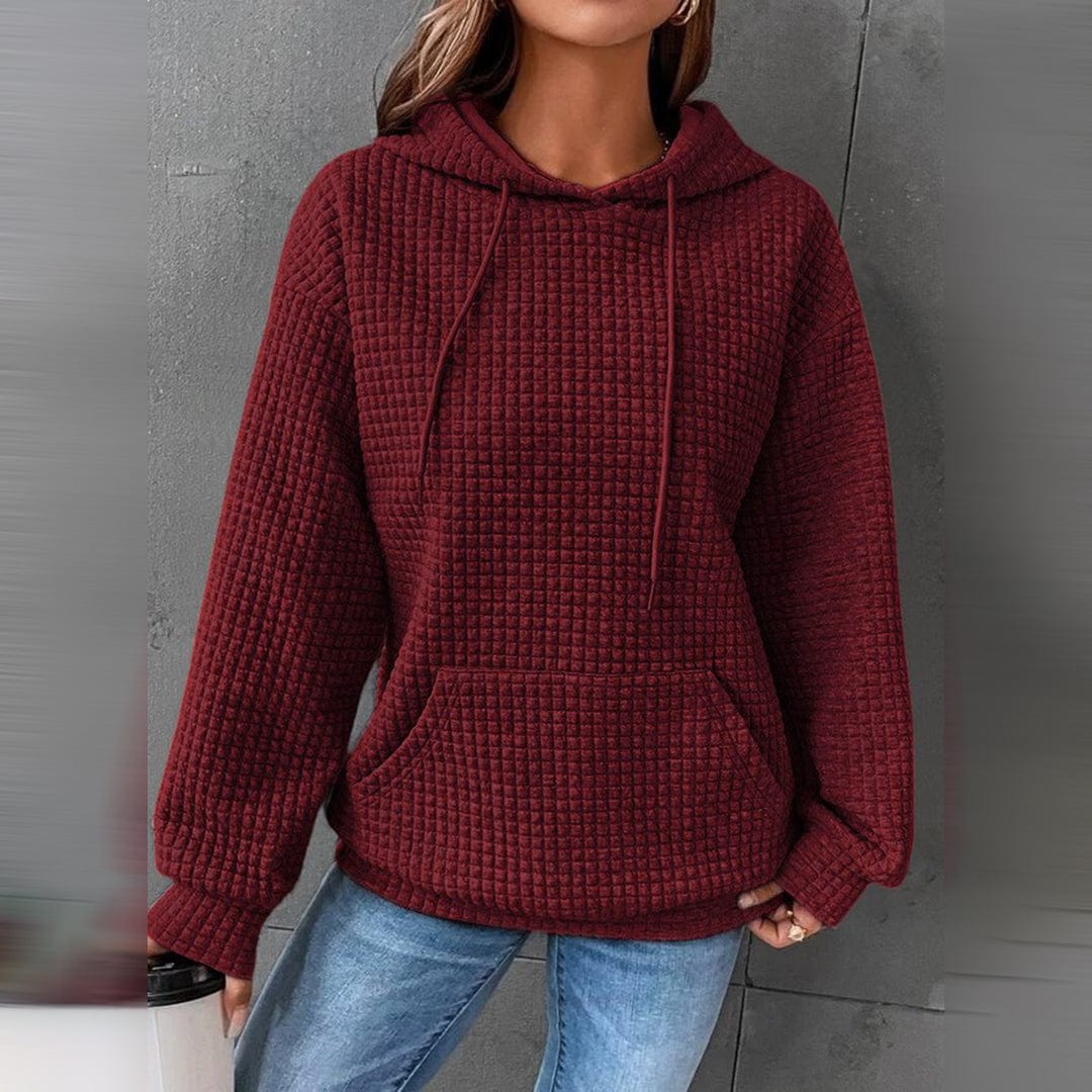 Warm Hooded Sweatshirt Classic Winter Jumper