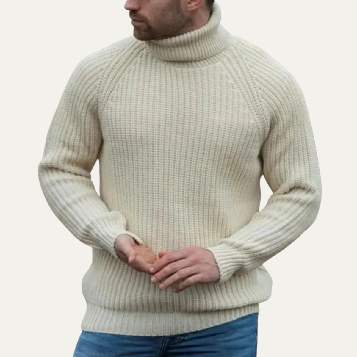 Men’s Chunky Turtleneck Sweater