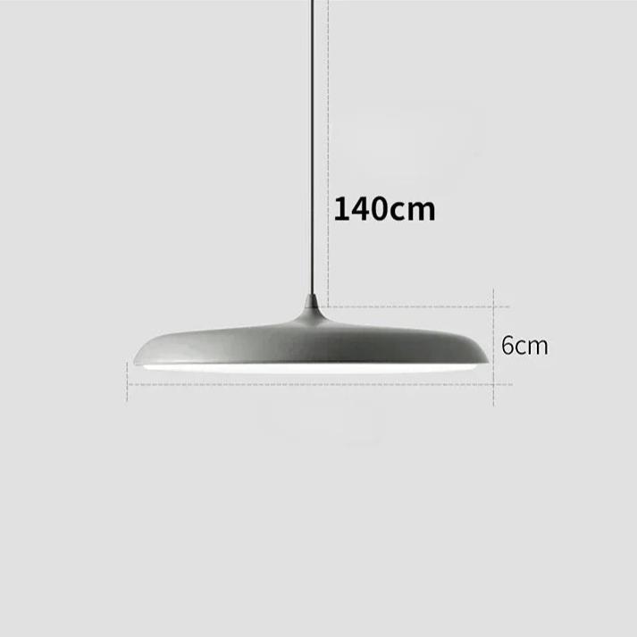 Stylish Hang Ceiling Light Fixture