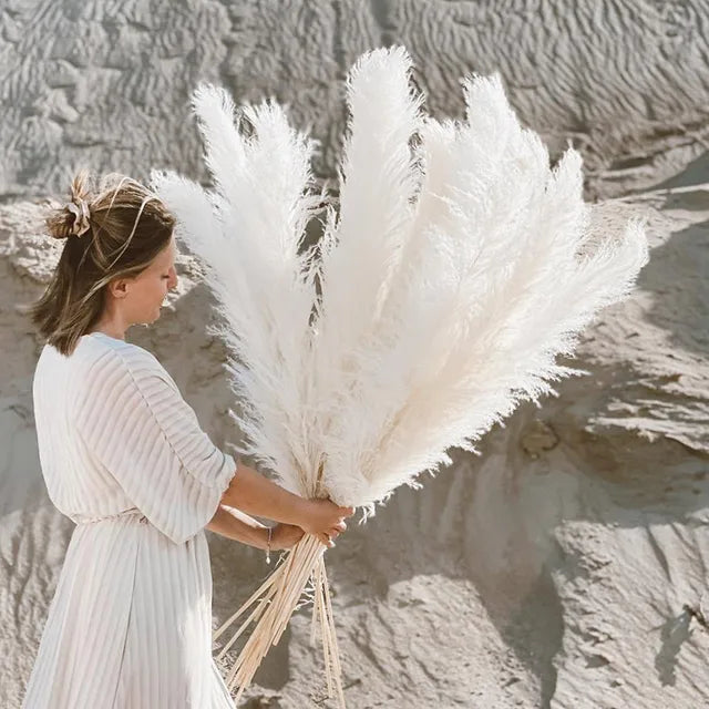Natural Dried Pampas Grass for Home Decoration - BritishElegance
