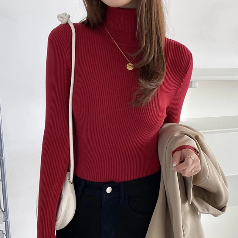 Women's Fitted Crew Neck Knit Sweater