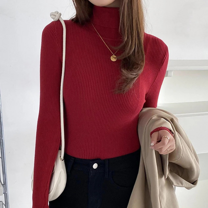 Women's Fitted Crew Neck Knit Sweater