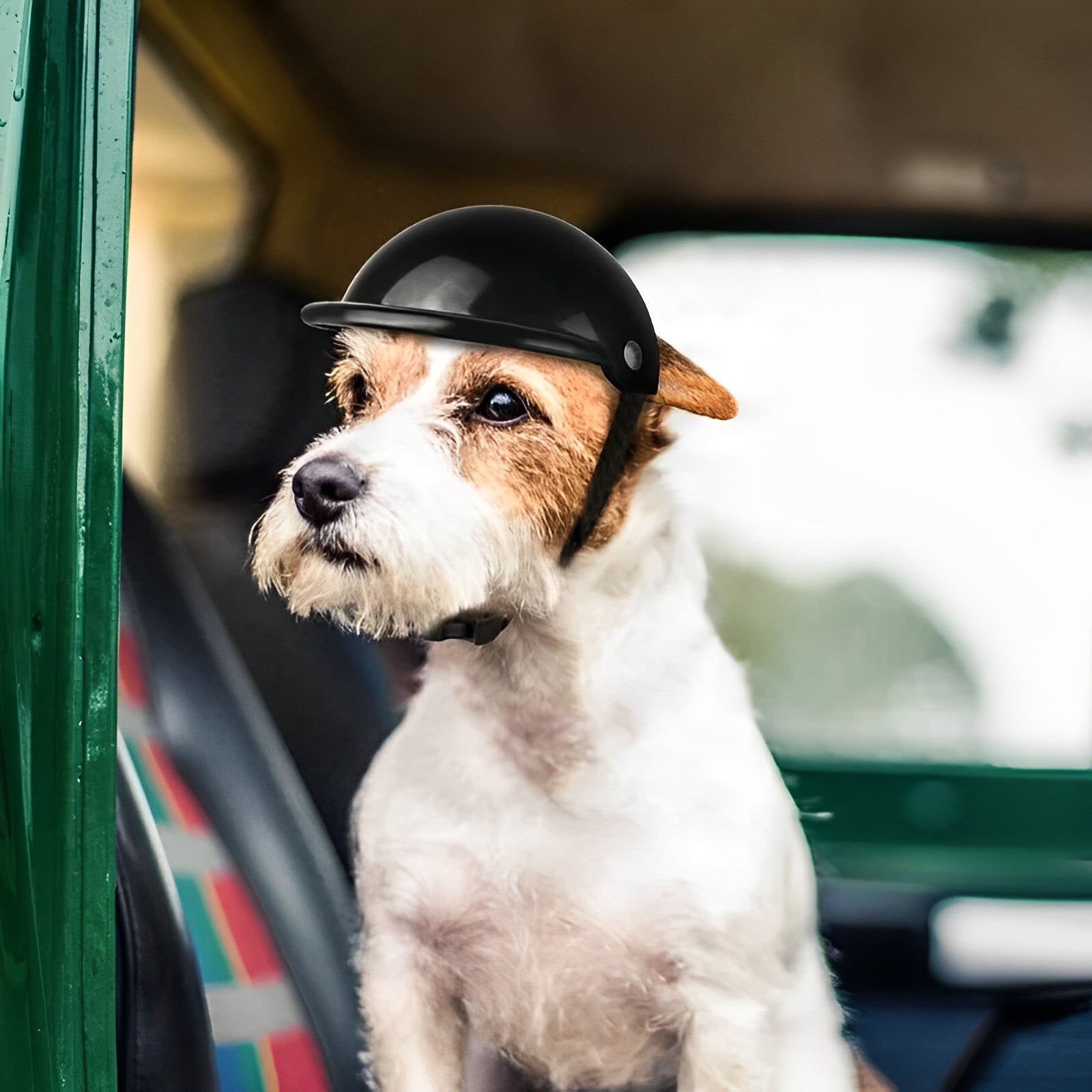 Protective Dog Motorcycle Helmet and Goggles Set - BritishElegance