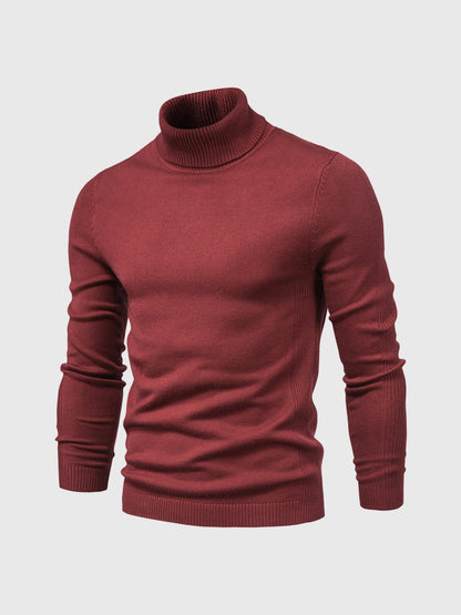 Rik | High Quality Washable Men's Turtleneck