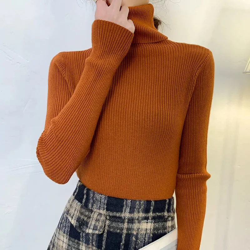 Women's Fitted Crew Neck Knit Sweater