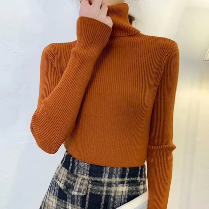Women's Fitted Crew Neck Knit Sweater