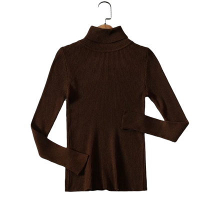 Classic Ladies Winter Sweater