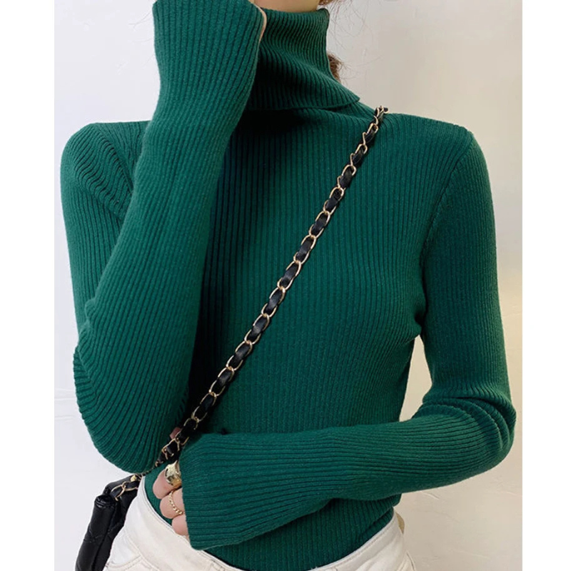 Women's Fitted Crew Neck Knit Sweater