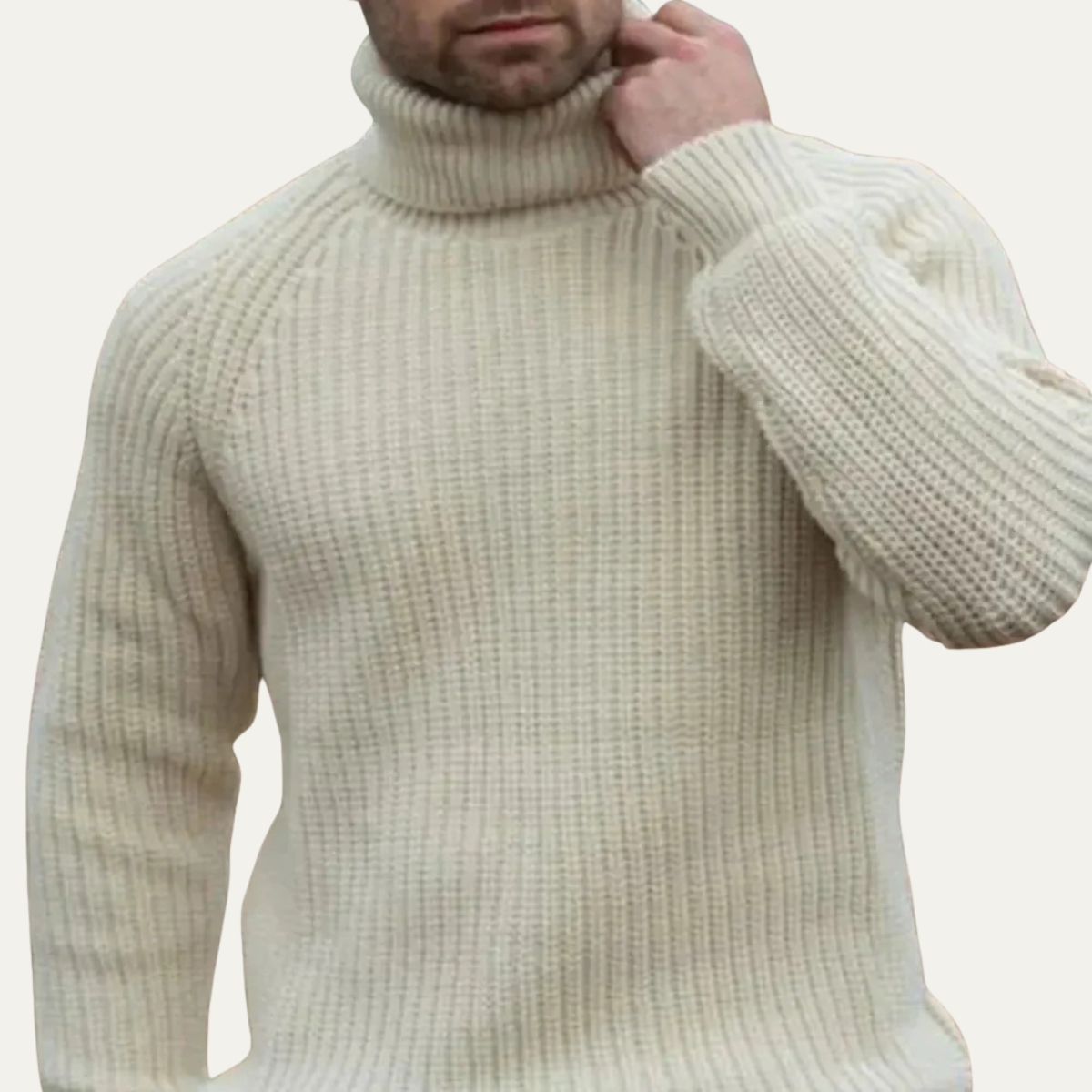 Men’s Warm Chunky Ribbed Turtleneck Sweater