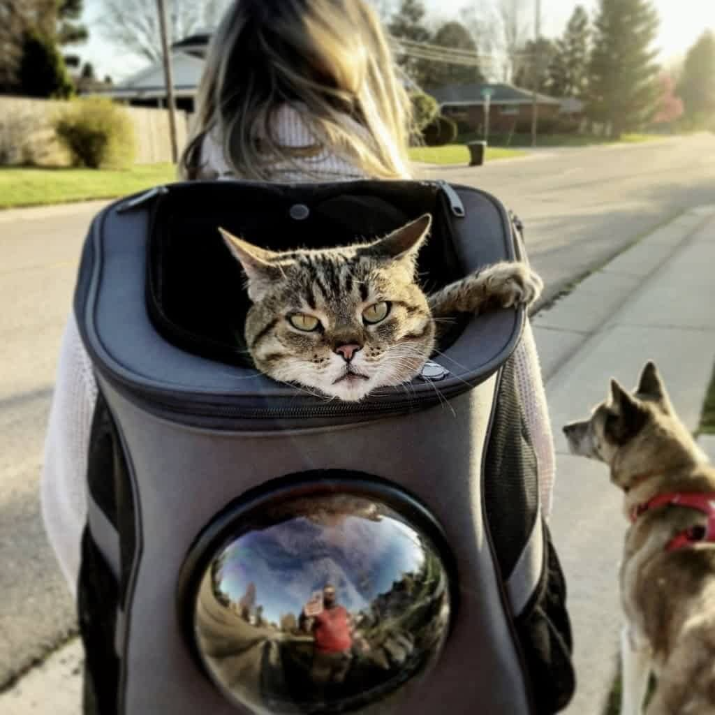 Breathable Pet Cat Carrier Backpack with Mesh Window