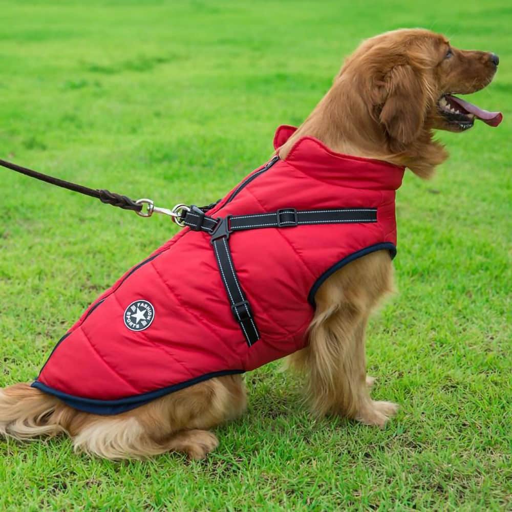Comfy Pet Winter Coat - BritishElegance