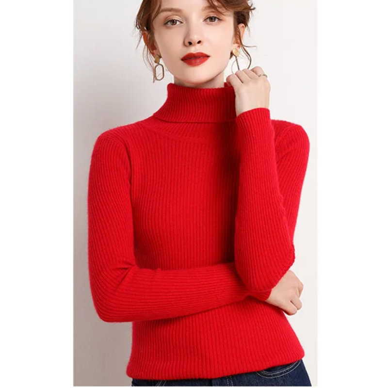 Women's Fitted Crew Neck Knit Sweater
