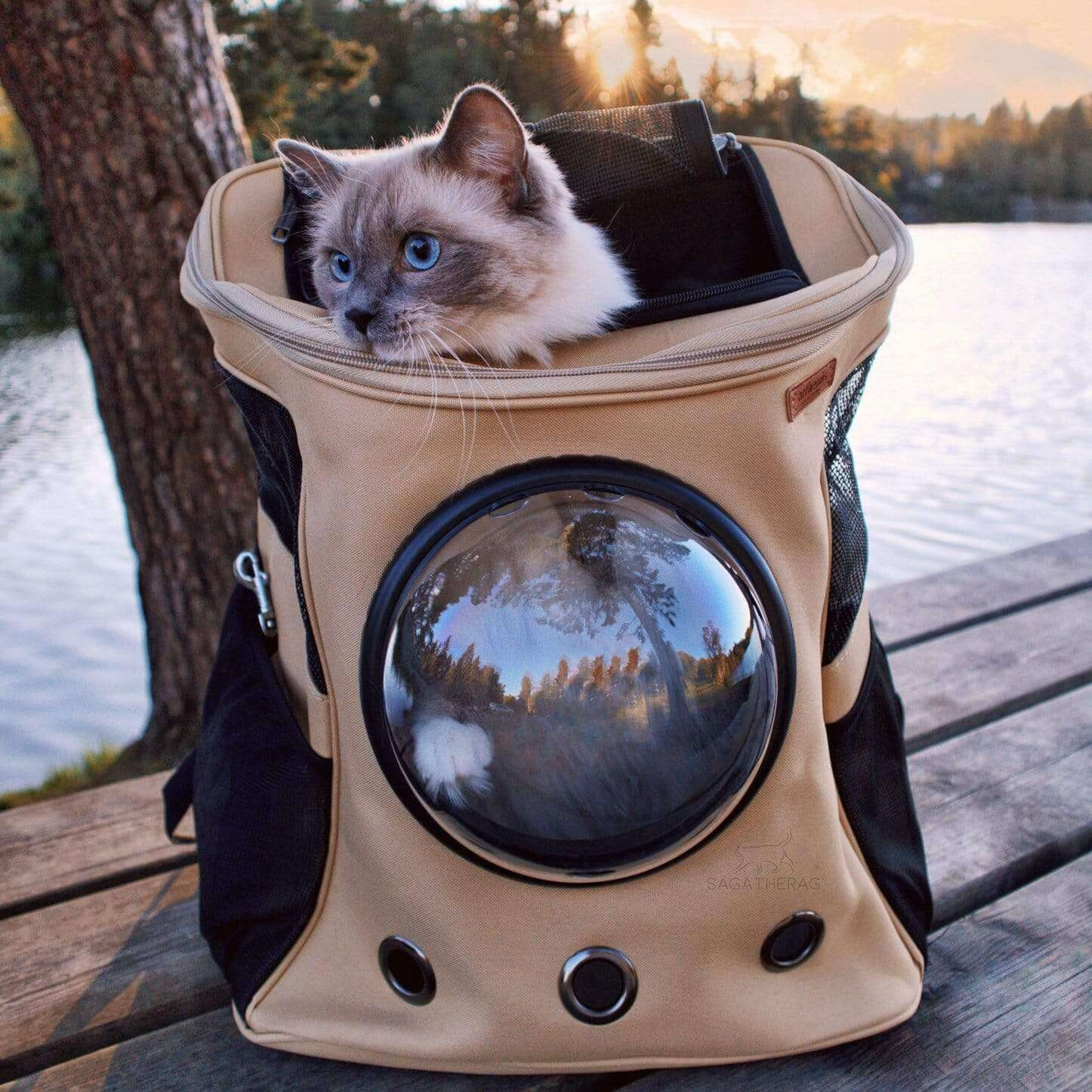 Breathable Pet Cat Carrier Backpack with Mesh Window - BritishElegance