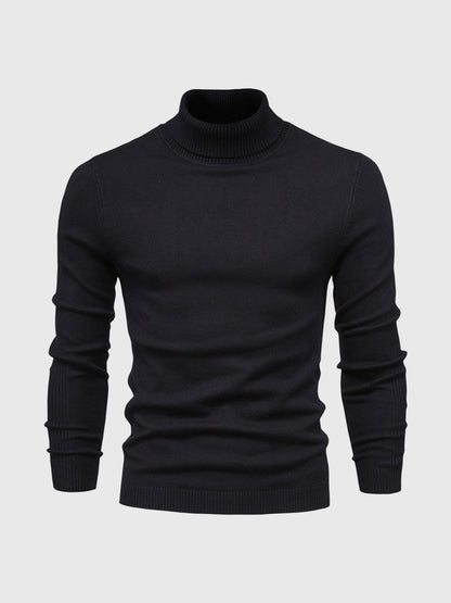 Rik | High Quality Washable Men's Turtleneck
