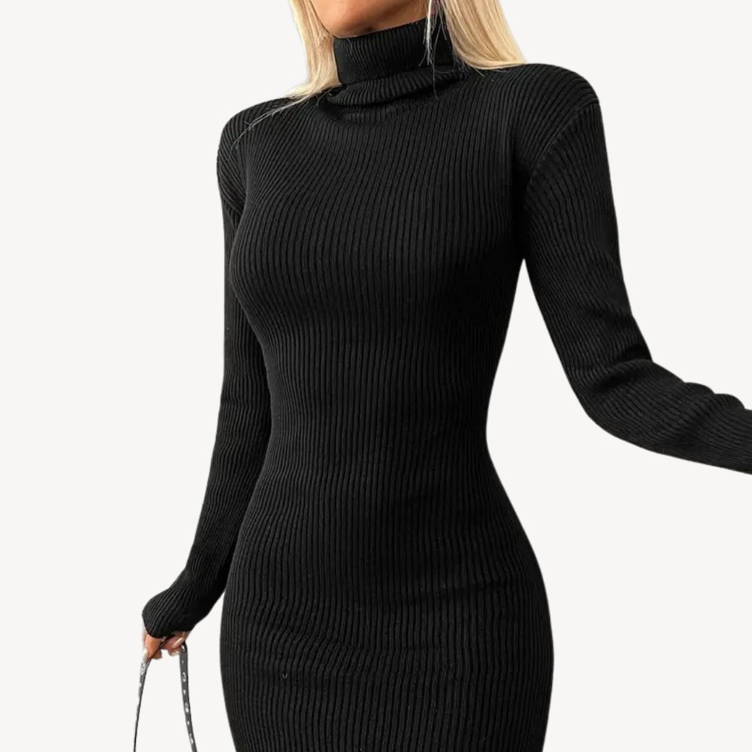 Black Ribbed Knit Turtleneck Dress for Women