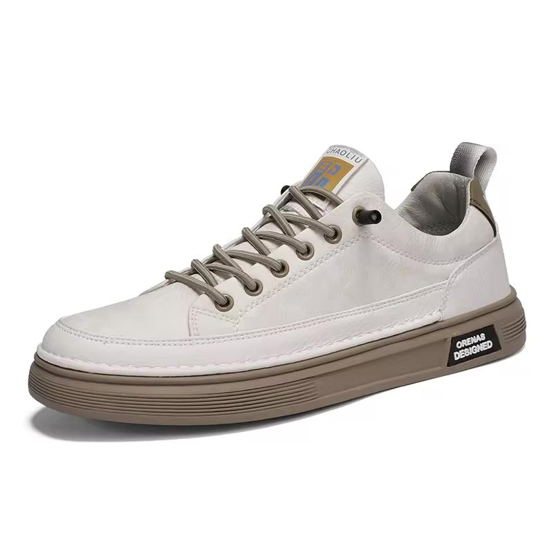 Classic Men's Low Top Shoes