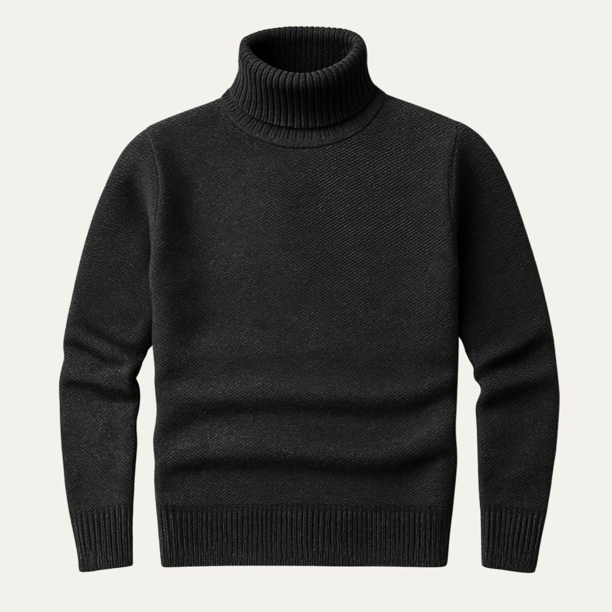 Men’s Fitted Micro Textured Turtleneck Sweater