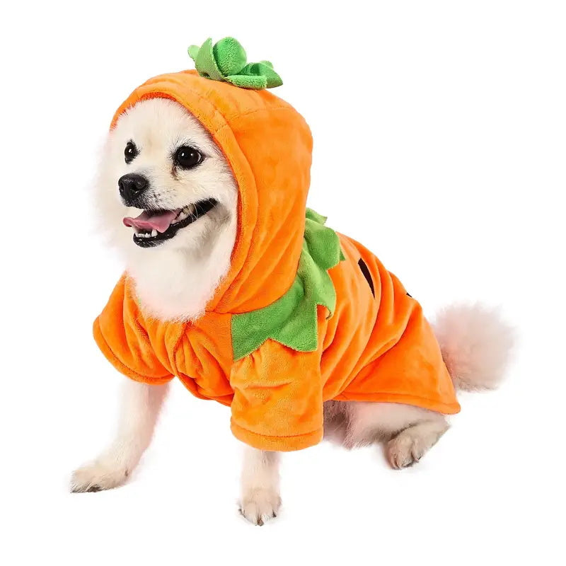 Funny Pumpkin Dog Costume Warm Fleece Hoodie - BritishElegance