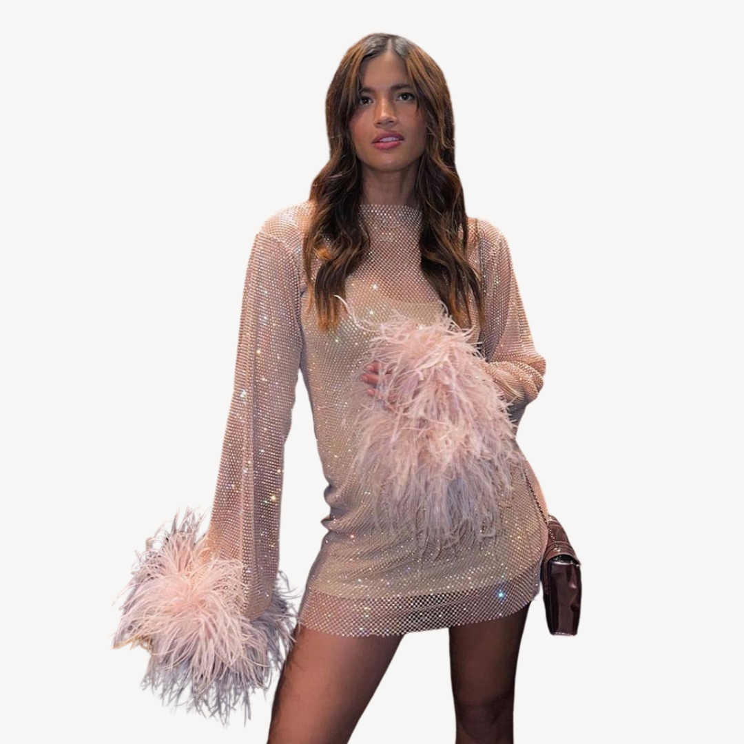 Sequined Mesh Feather Detail Mesh Dress