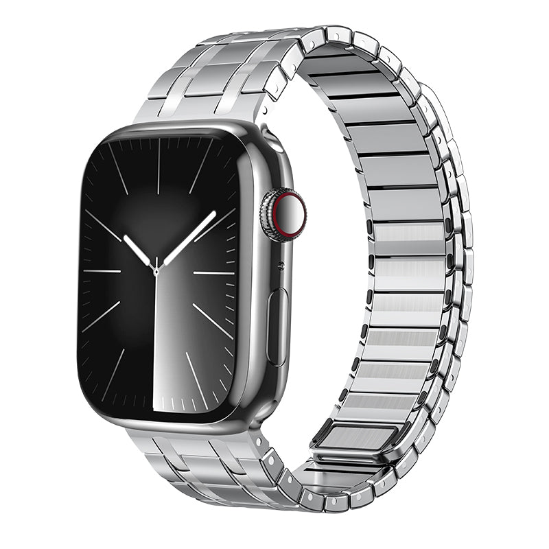 Clear Stainless Steel Magnetic Apple Watch Band