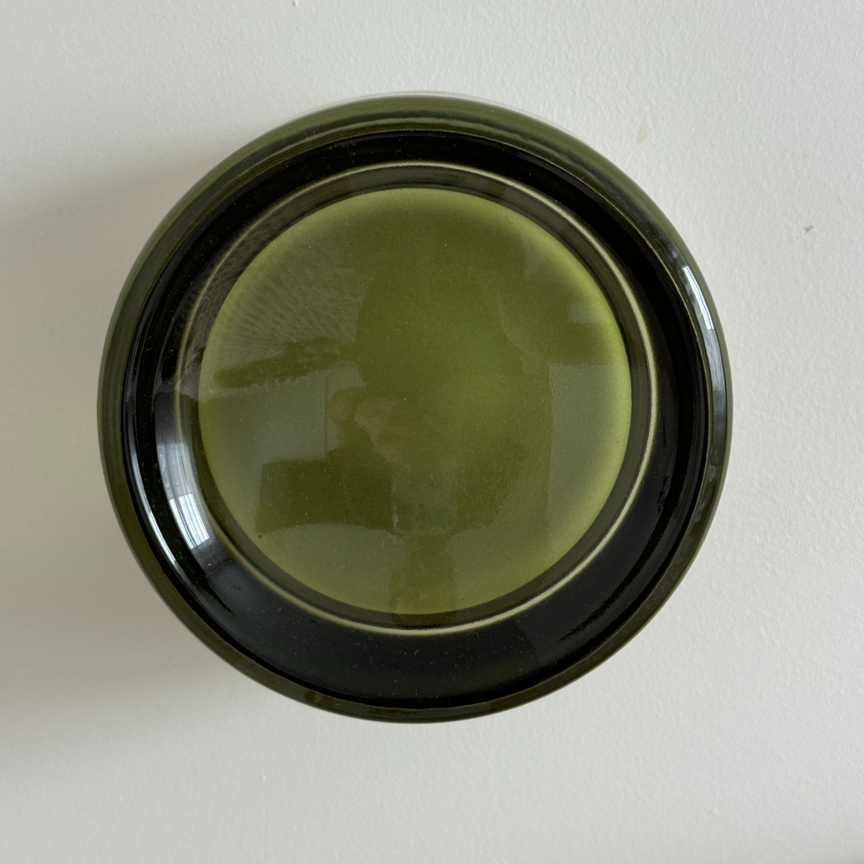 Wall Mount Pet Sconce Light
