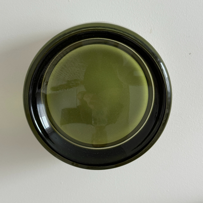 Wall Mount Pet Sconce Light