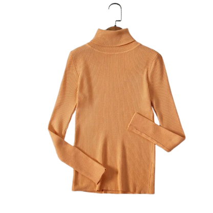 Classic Ladies Winter Sweater