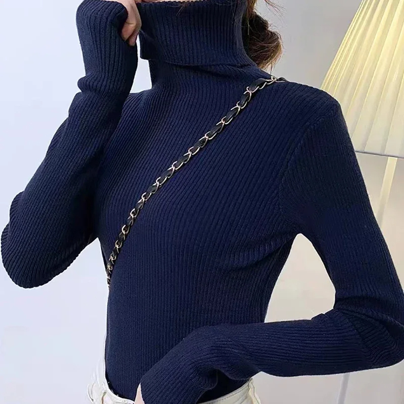 Women's Fitted Crew Neck Knit Sweater
