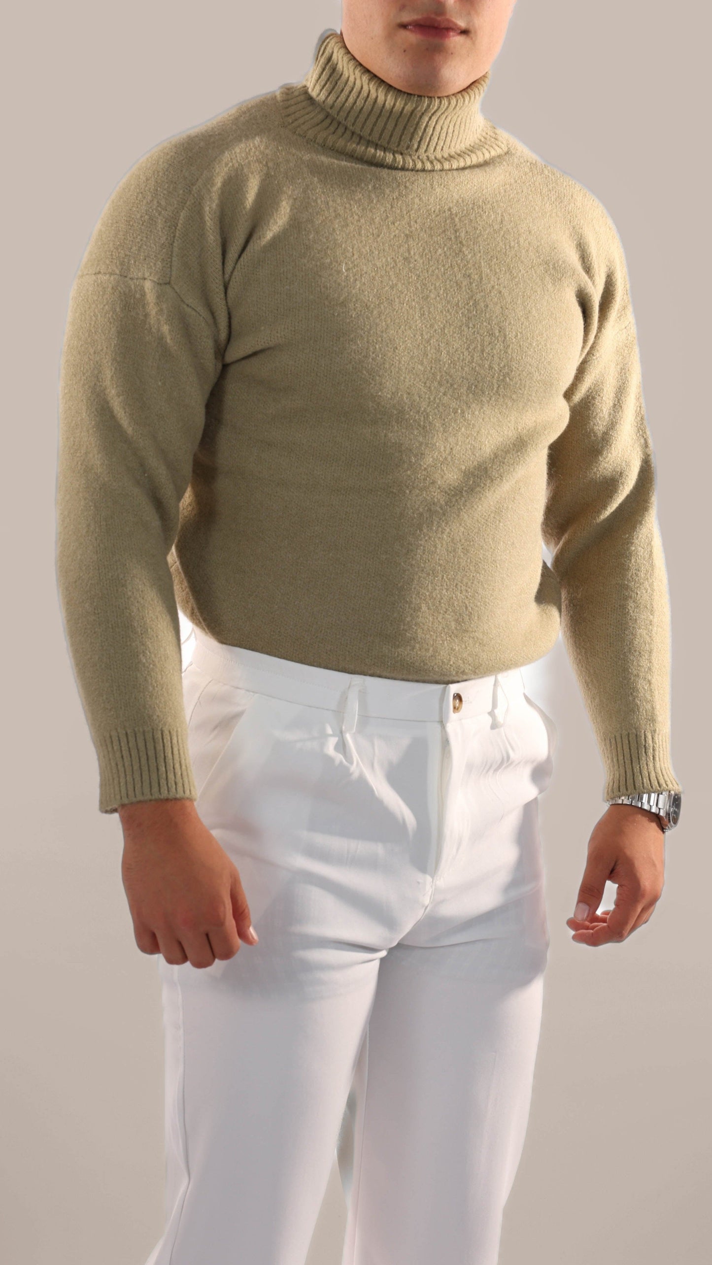 Warm Knitted Roll Neck Jumper Men
