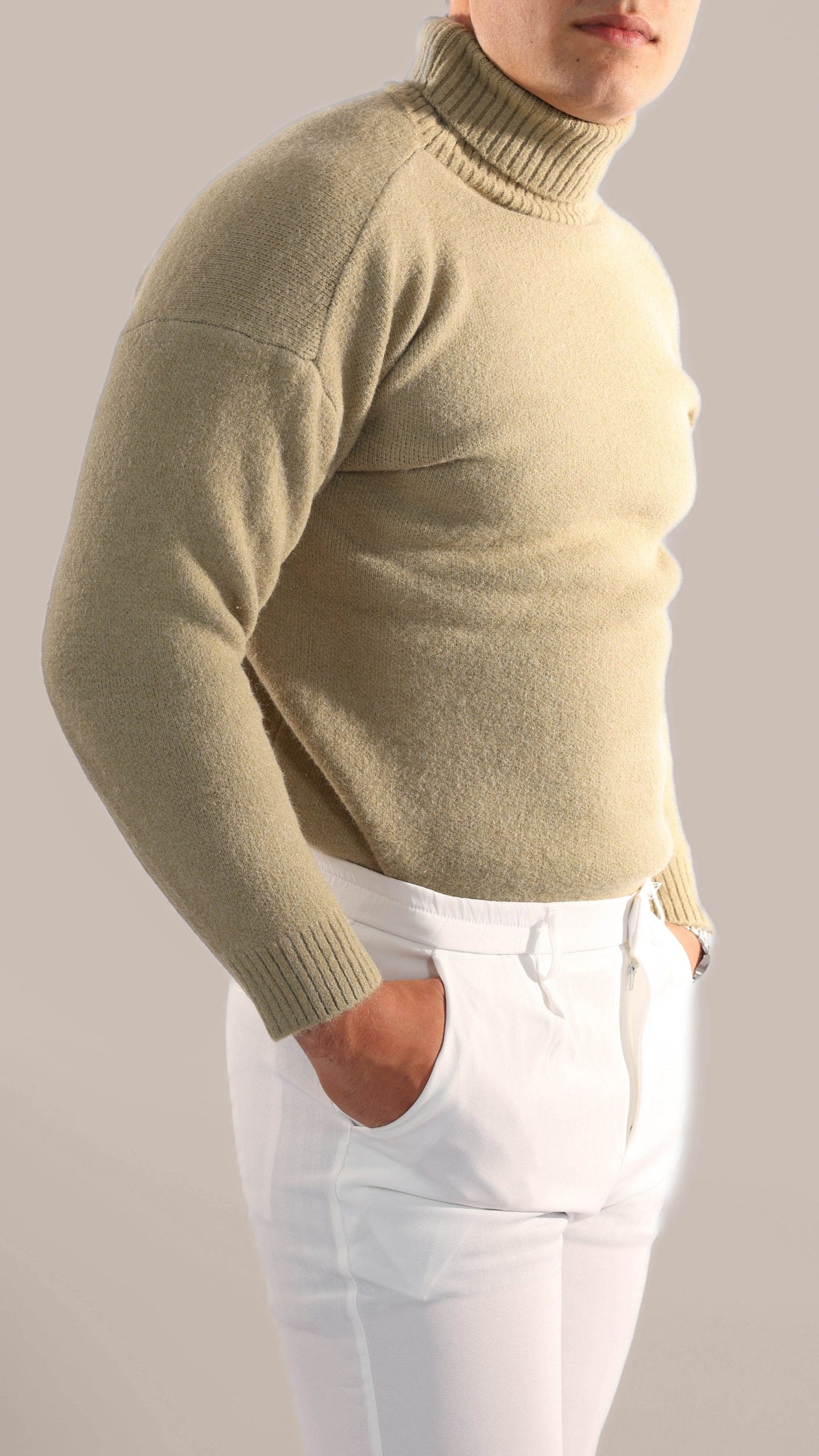 Warm Knitted Roll Neck Jumper Men