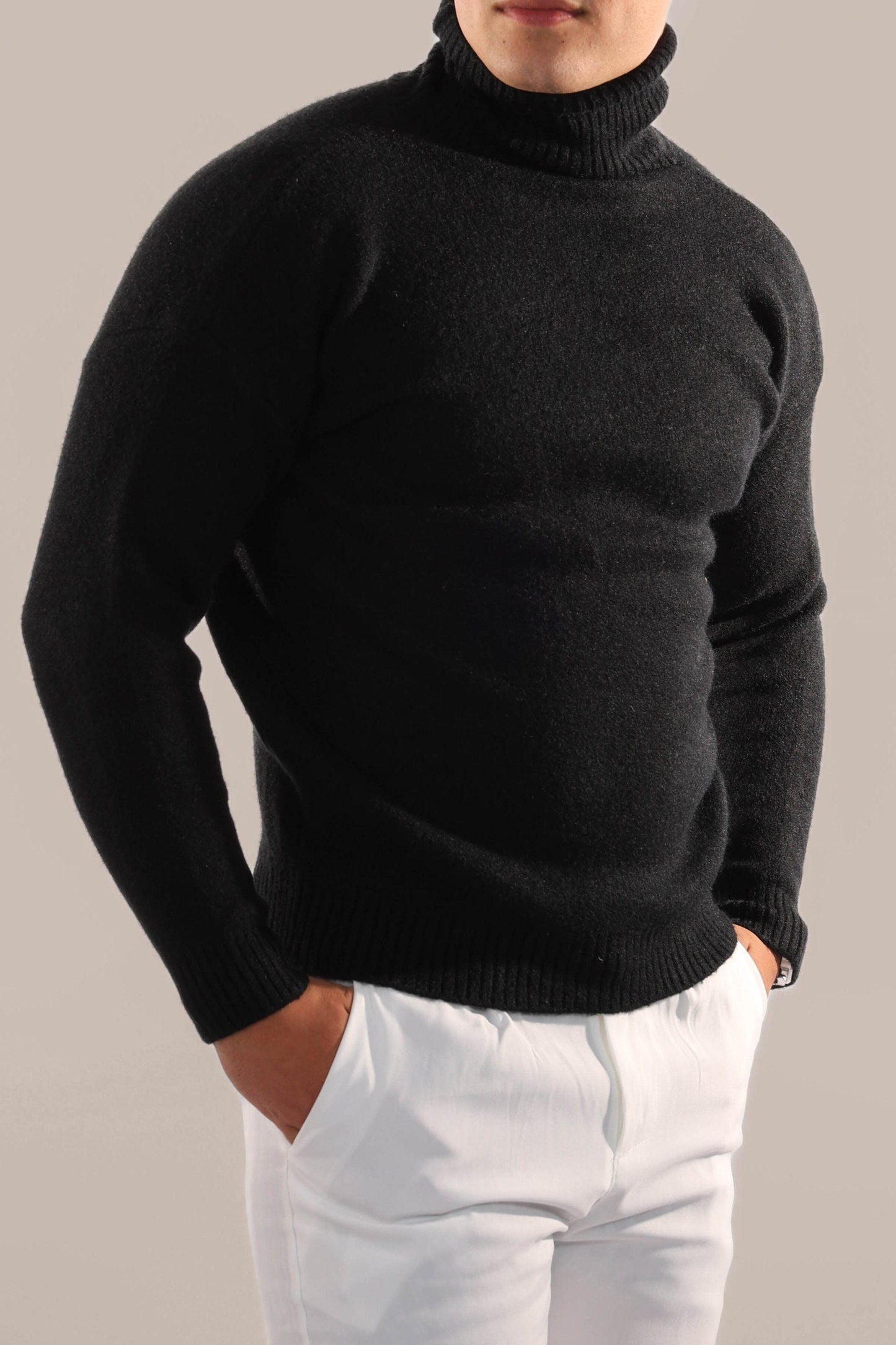 Warm Knitted Roll Neck Jumper Men