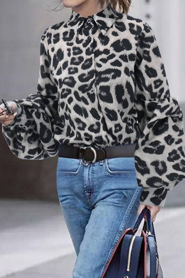 Dailyn Blouse | Leopard Print Long Sleeve Chiffon Blouse