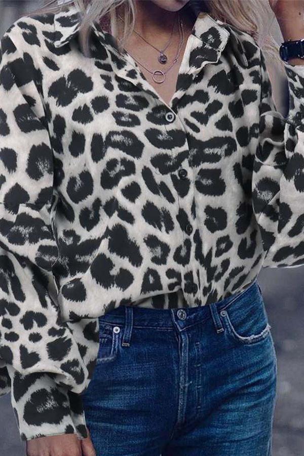 Dailyn Blouse | Leopard Print Long Sleeve Chiffon Blouse