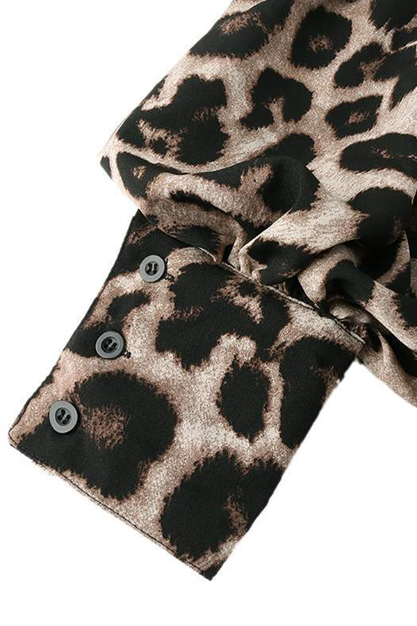 Dailyn Blouse | Leopard Print Long Sleeve Chiffon Blouse