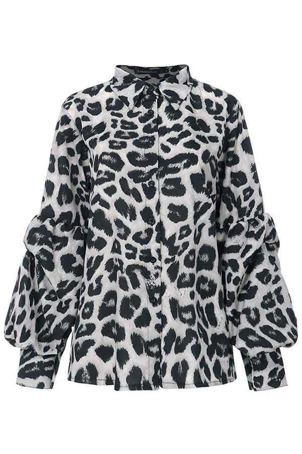 Dailyn Blouse | Leopard Print Long Sleeve Chiffon Blouse