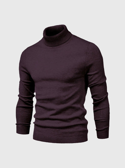 Elegant turtleneck sweater for stylish occasions