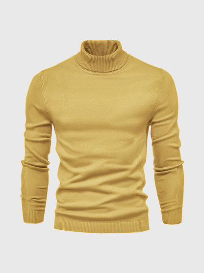 Elegant turtleneck sweater for stylish occasions