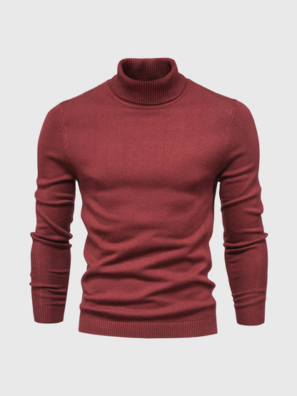 Elegant turtleneck sweater for stylish occasions