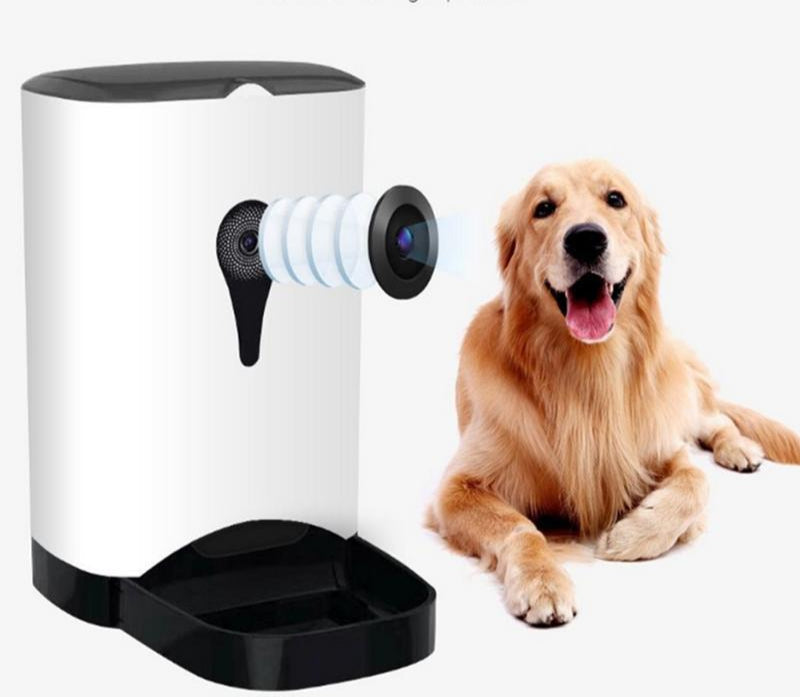 Fun Pet Camera for Dogs - BritishElegance