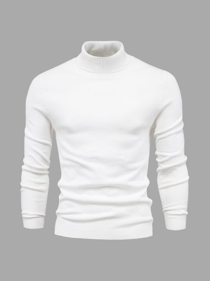 Rik | High Quality Washable Men's Turtleneck