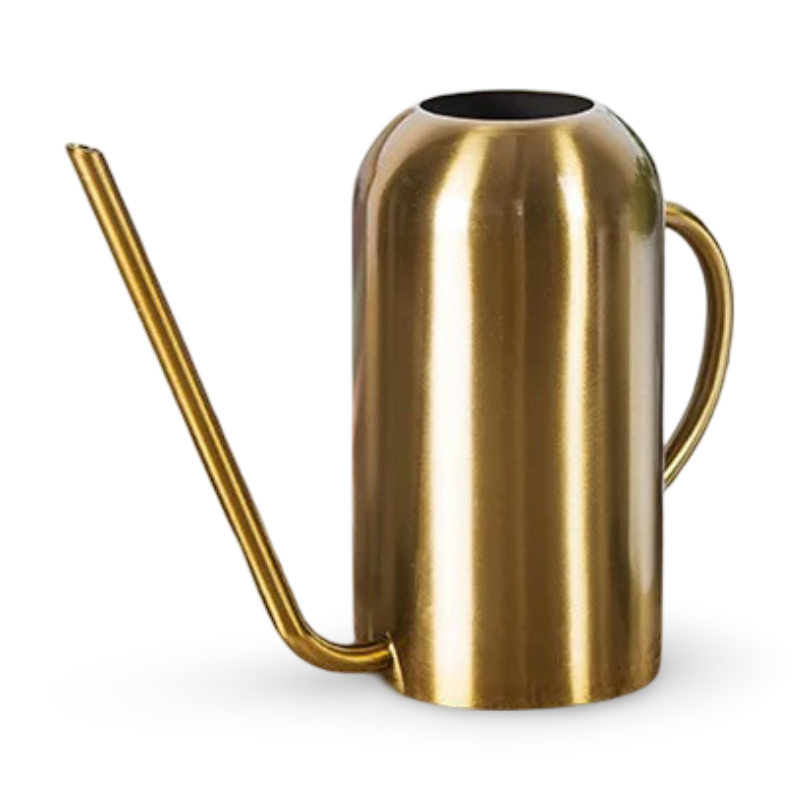 Large Indoor Plant Watering Can with Long Nozzle
