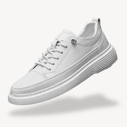 Men’s Premium Casual Sneakers
