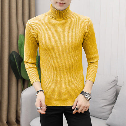 Cevori Turtleneck Style Rib Knit Jumper