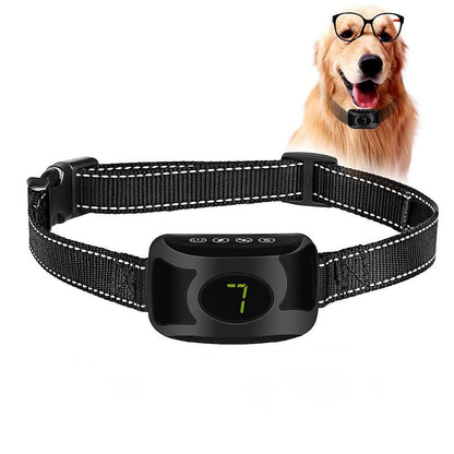 Pet Safe Anti Bark Training Collar - BritishElegance